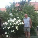 ���� Aleksa, ��������, 58 ��� - ��������� 18 ���� 2015 � ������ ���� ����������