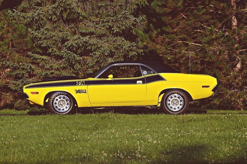 Dodge Challenger (1970) - 3