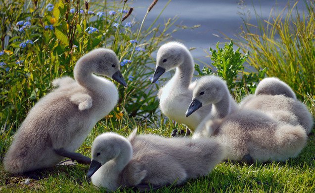   - 30  2015  04:04 - 2