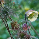 ���� �����, �����, 64 ���� - ��������� 9 ���� 2015 � ������ ����� ���� ���� (07.06.2015)�