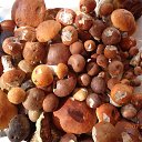 ���� Maslenitsa, ������, 54 ���� - ��������� 8 ������� 2015 � ������ ���� ����������
