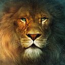 ���� �������, ������, 35 ��� - ��������� 12 ���� 2015 � ������ ���� ����������