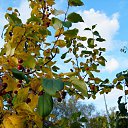 ���� ������, ������������ - ��������� 13 �������� 2015 � ������ ������ ��������