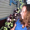 ���� ������ ����������, �����, 33 ���� - ��������� 14 ���� 2015 � ������ ���� ����������