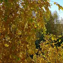 ���� ��������, ��������, 70 ��� - ��������� 4 ���� 2015 � ������ ������ ����