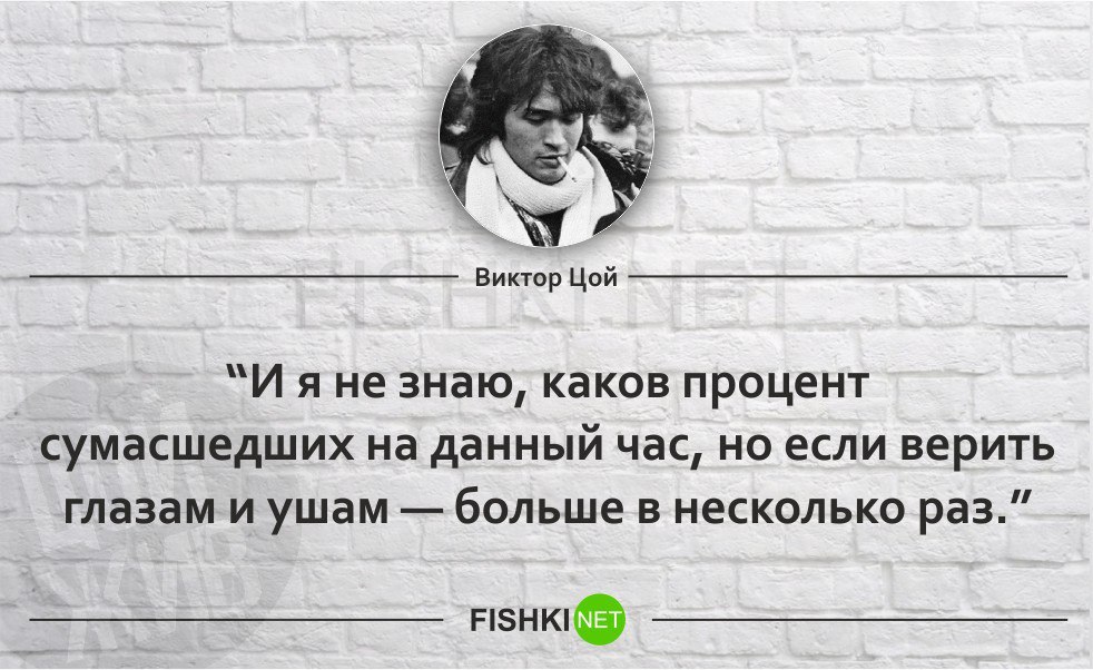 Я полюбила красивого но сумасшедшего текст. Лучшие цитаты Виктора Цоя. Цитаты Цоя.