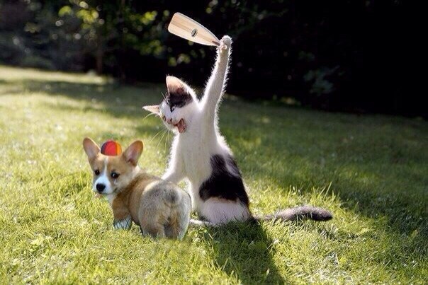       - 21  2015  04:02 - 2