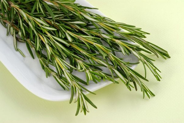 5 продуктов, улучшающих память.РозмаринРозмарин богат антиоксидантами и карнозиновой кислотой, ...