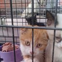 ���� �������, �����������, 53 ���� - ��������� 24 �������� 2015 � ������ ���� ����������