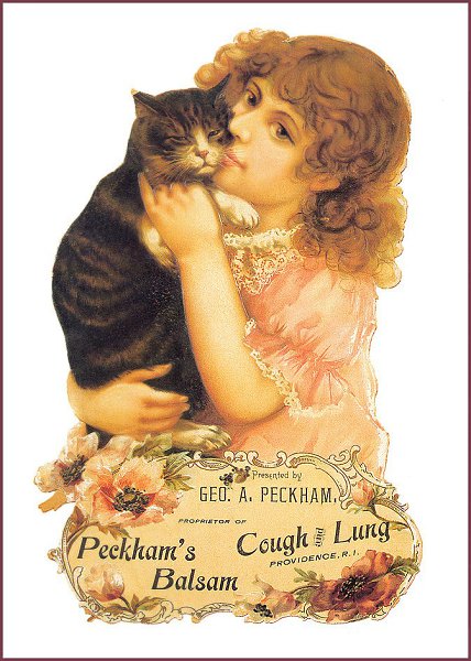 Cat in Old Ilustratives / Кошки на старых иллюстрациях - 20
