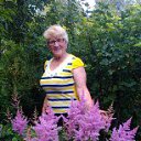 ���� �����, �����-���������, 77 ��� - ��������� 23 ������� 2015 � ������ ���� ����