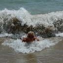 ������,������,���� 2014. �� ������� ������� ���� 2014.�