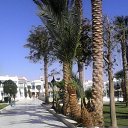 ���� �����, �����-���������, 68 ��� - ��������� 23 ���� 2015 � ������ �������� 2015�