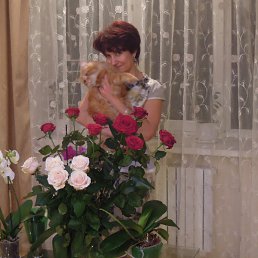 ������, ��������������, 61 ���