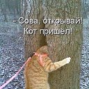 ���� ������, �������������, 61 ��� - ��������� 17 �������� 2015 � ������ ���������