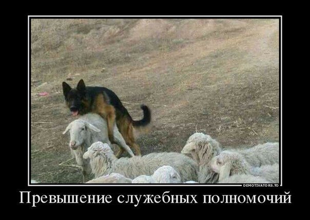 Смейся до слёз :D - 1 сентября 2015 в 01:11