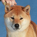 ���� @�@, �������, 50 ��� - ��������� 19 ���� 2015 � ������ ������