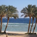 ���� ����, ������, 57 ��� - ��������� 2 ������� 2015 � ������ ���� ����������