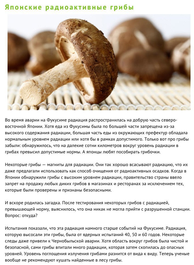 10 ������� �������, ������� ��� ������� ��������� - 5