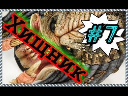 Убойная подборка приколов,смотрите не пожалеете. https://youtu.be/kIuSCw0sJeg