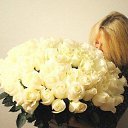 ���� ������ �, ���� - ��������� 24 ���� 2015 � ������ ���� ����������