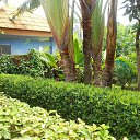    -  ,  -  4  2015    2014.  Lawana.  7-.