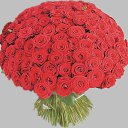 ���� Irina, ����������� - ��������� 11 ������� 2015 � ������ �����2�