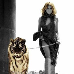  Tigress, 