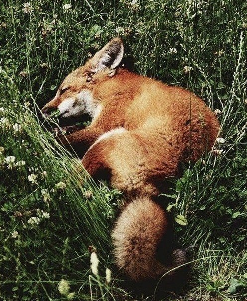 ||  ... || - 11  2015  21:23 - 4