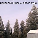 ���� �����, �������������, 80 ��� - ��������� 20 ������� 2015 � ������ ������� �����