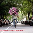 ���� ���������, ������, 74 ���� - ��������� 9 ��� 2015 � ������ ������ ��������
