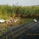 �������� �� ������� ���� ����������