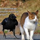 ���� ���������, ������, 65 ��� - ��������� 24 ��� 2015 � ������ ���� ����������