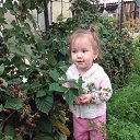 ���� �������, ���������� ����� - ��������� 16 ������� 2015 � ������ ���� ����������