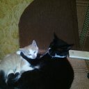 ���� ������, ����-���, 47 ��� - ��������� 15 �������� 2015 � ������ ���� ����������