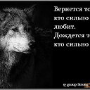 ���� ������, ������ �����, 62 ���� - ��������� 7 �������� 2015 � ������ ������ ��������