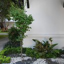    -  ,  -  24  2015    2014.   .  10-.