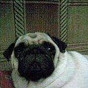 ���� ����, ���������, 60 ��� - ��������� 21 �������� 2015 � ������ ���� ����������