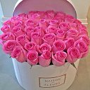 ���� ��������, ������, 55 ��� - ��������� 11 ��� 2015 � ������ ���� ����������