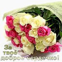 ���� ������, �����-���������, 79 ��� - ��������� 31 ���� 2015 � ������ �������� ��������
