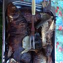 ���� ����, ���������, 58 ��� - ��������� 22 ���� 2015 � ������ ���� ����������