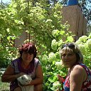 ���� ��������, �������, 52 ���� - ��������� 27 ���� 2015 � ������ ���������� ������