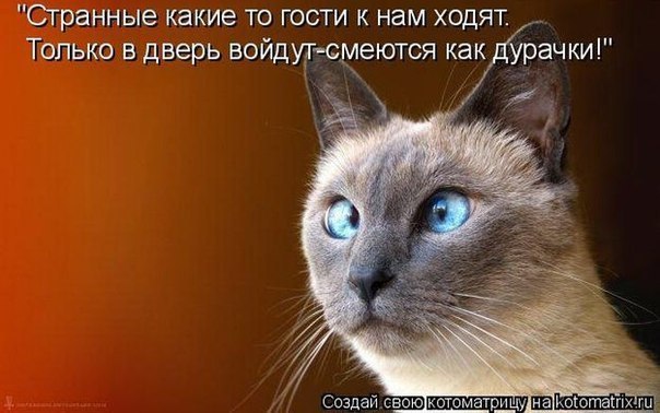 ��� �������� �������� - 19 ���� 2015 � 13:24