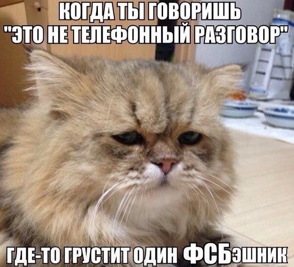 ������ ���� | ��������, �����, ������� - 28 ��� 2015 � 21:02