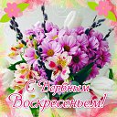 ���� �����, ������ �������� - ��������� 3 �������� 2015 � ������ �������� ��������