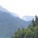 ���� ������, �������, 48 ��� - ��������� 25 ���� 2015 � ������ ���� ����������