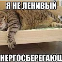 ���� ���������, ��������� - ��������� 10 ���� 2015 � ������ ������ ��������