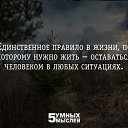 ���� ��������, ���������, 61 ��� - ��������� 4 ��� 2015 � ������ ���� ��� ���