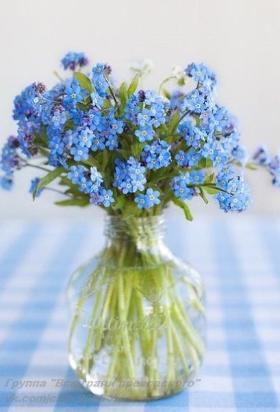 Когда человек становится родным, ты не воспринимаешь его как собрание плюсов и минусов. Он для тебя ... - 4