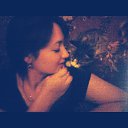 ���� �����, ���������, 33 ���� - ��������� 8 ���� 2015